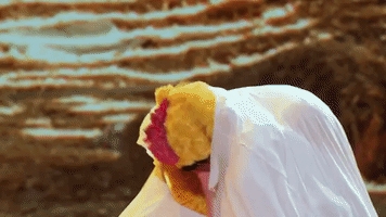 abc GIF by The Gong Show