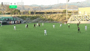 goal oc GIF by Orange County Soccer Club