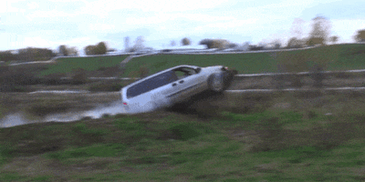 minivan GIF by Rant