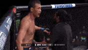 Sport GIF by UFC