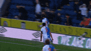 Celebration GIF by Blackburn Rovers