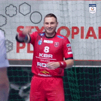 Handball Pgnig GIF by Superliga