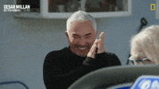Dogwhisperer GIF by National Geographic Channel