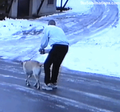 snow fail GIF