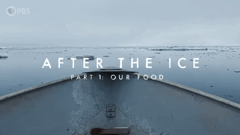 Marine Life Ice GIF by PBS Digital Studios
