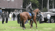 GIF by Giffffr