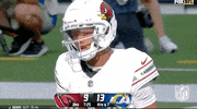 National Football League GIF by NFL