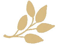 Design Leaf Sticker