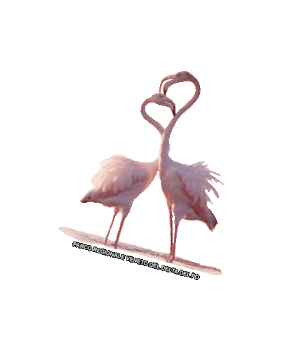 parcodeltapo nature bird bike duck Sticker