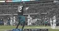 Regular Season Football GIF by NFL
