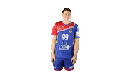 National Team Sport Sticker by Rushandball