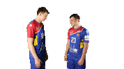 National Team Sport Sticker by Rushandball