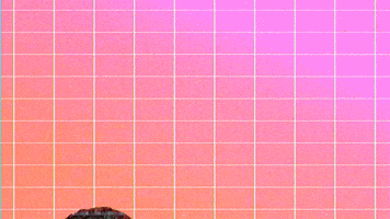 come see me GIF by BOSCO