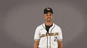 Cal State La Baseball GIF by Cal State LA Golden Eagles