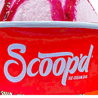 GIF by Scoopd NG