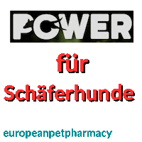 Sheperd Sticker by Europeanpetpharmacy