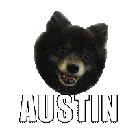 nbmotors car cars austin trucks Sticker