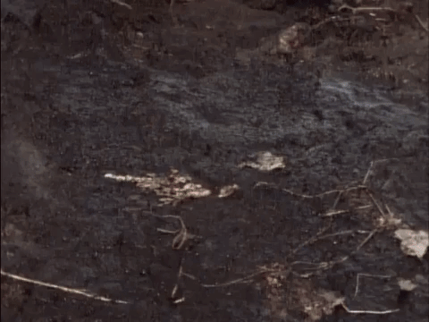 are you afraid of the dark nicksplat GIF