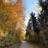 Colors Love GIF by Linz News