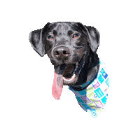 Monsters Inc Dog Sticker by Geekster Pets