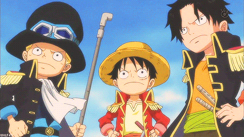 monkey d luffy ace GIF