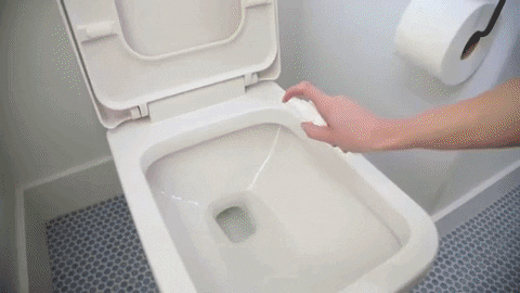 Toilet Spray GIF by Norwex