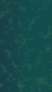 GIF by UnionDocs