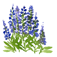 Flower Sticker by compo