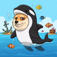 Shiba Inu Swimming GIF by Doge Pound