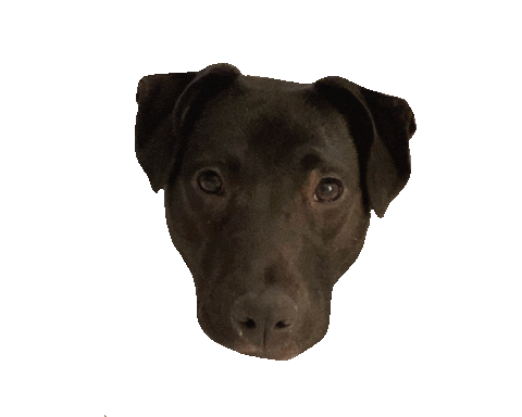 Sticker by Simple & Sentimental