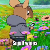 Butterfly Effect Wisdom GIF by Chillo Dillo