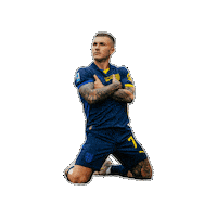 Goal Godo Sticker by Parma Calcio 1913