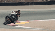 Ride GIF by Harley-Davidson