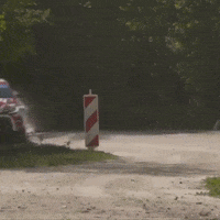 Speed Toyota GIF by FIA European Rally Championship