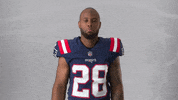 James White Yes GIF by New England Patriots