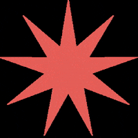 Star GIF by Wildfire Agency