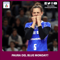 bluemonday GIF