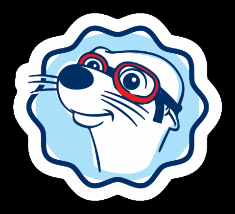 Swim Lessons Swimming GIF by AquaTots