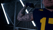 Go Blue GIF by Michigan Athletics