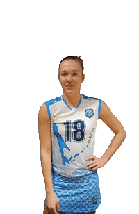 Touch Volley Sticker by Volleyball club Zarechie