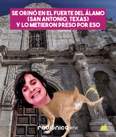 radionicadertvc giphyupload ozzy osbourne radionica las50deozzy GIF