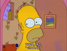 homer simpson gasp GIF