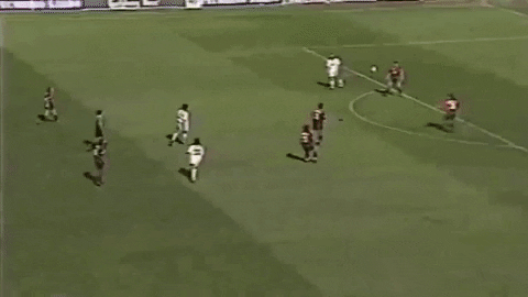 Dr_P giphygifmaker fabian oneill GIF