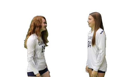 Womens Volleyball Heart Sticker by Clarke University
