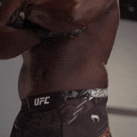 Mixed Martial Arts Sport GIF by UFC