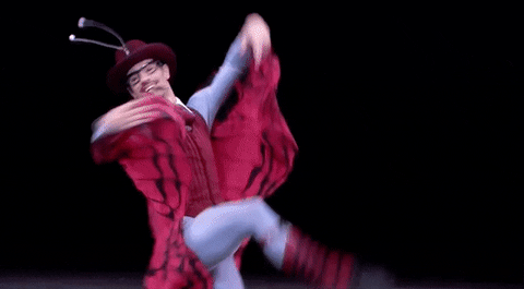 lincoln center dance GIF by New York City Ballet