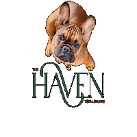 Haven Bakersfield Sticker