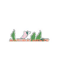 Agua Mujeres Sticker by Bonafont Mexico