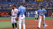Celebrate Major League Baseball GIF by MLB