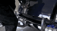 los angeles la GIF by 1st Look
